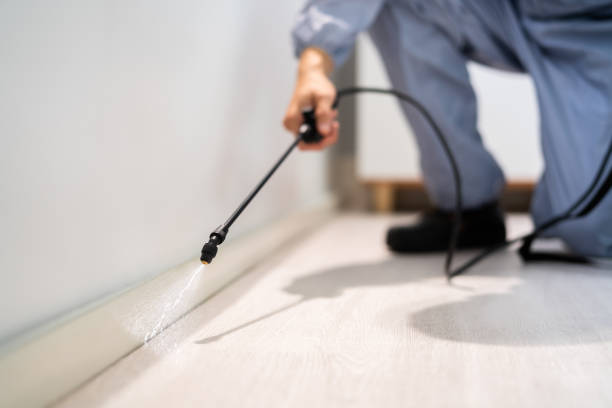 Licensed Pest Control service in Branchville, SC - Show Me Pest Control