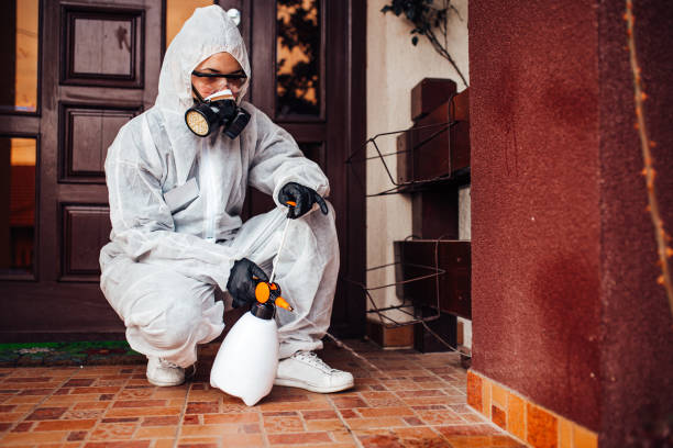 Reliable Ant Control contractor in Branchville, SC by Show Me Pest Control